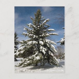 Carte Postale Hivers à venir