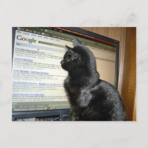 Carte Postale Hmmmmm....