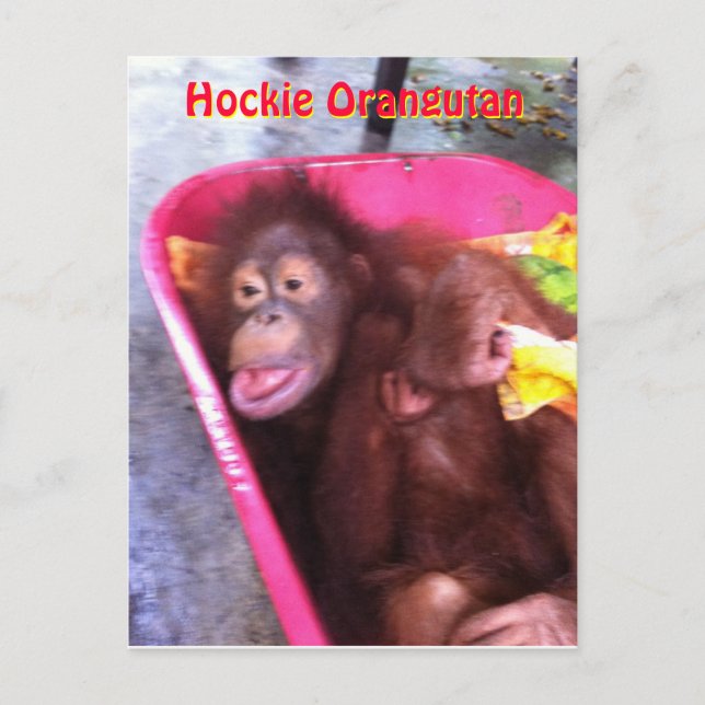 Carte Postale Hockie Orangutan - une fille qui a des besoins spé (Devant)