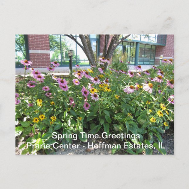 Carte Postale Hoffman Estates, Illinois Prarie Centre Salutation (Devant)