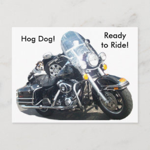 Carte Postale Hog Dog - Prêt à faire du tour !