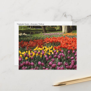 Carte Postale Hollande Keukenhof