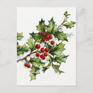 Carte Postale Holly Berries 001