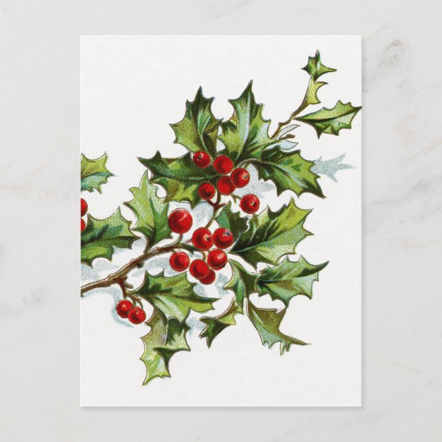 Carte Postale Holly Berries 001 (Devant)