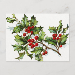 Carte Postale Holly Berries 002