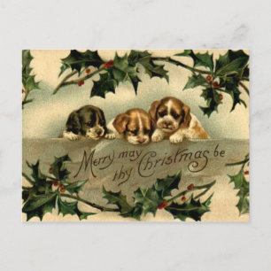 Carte Postale Holly Puppies