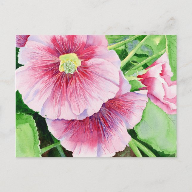 Carte postale Hollyhocks rose (Devant)