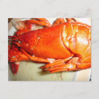 Carte Postale Homard