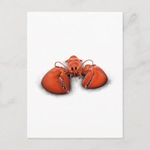 Carte Postale Homard
