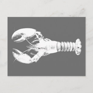 Carte Postale Homard blanc sur gris / gris