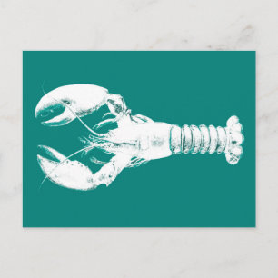 Carte Postale Homard blanc sur Turquoise / Turquoise