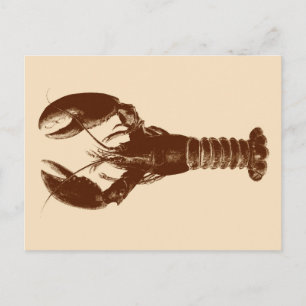 Carte Postale Homard Brown foncé sur beige clair