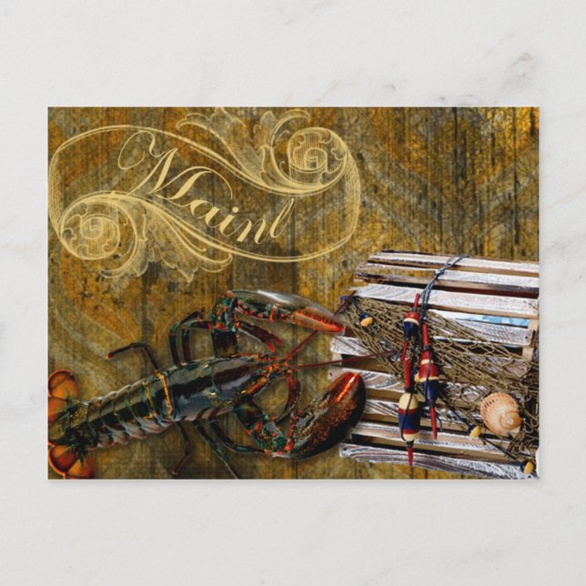 Carte Postale homard du Maine (Devant)