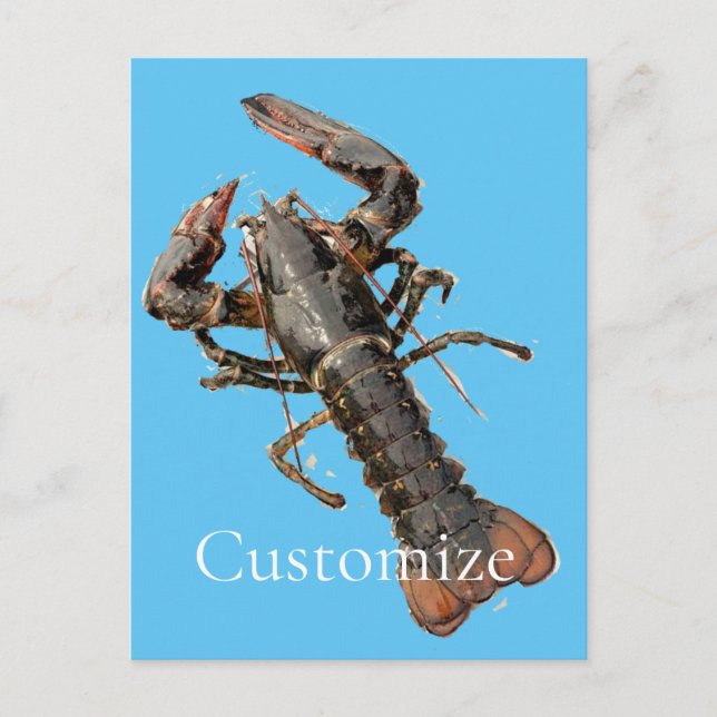 Carte Postale Homard frais du Maine Thunder_Cove (Devant)