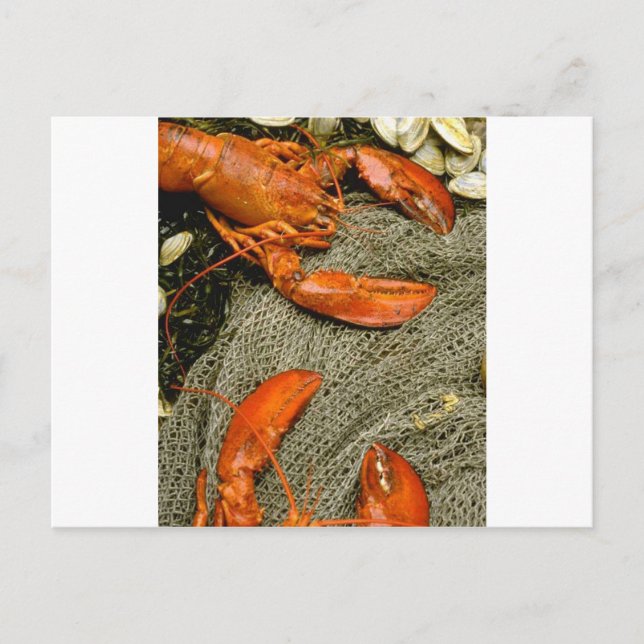Carte Postale Homards (Devant)