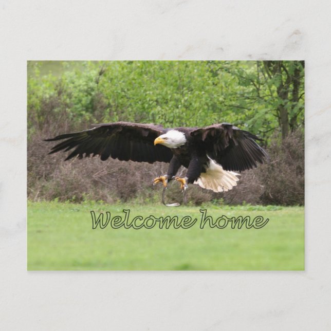 Carte Postale Home (Devant)