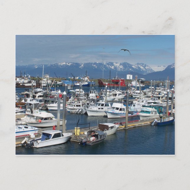 Carte Postale Homer Alaska (Devant)