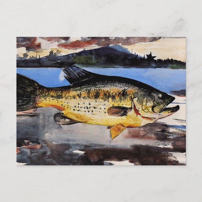 Carte Postale Homer - Basse, (Devant)
