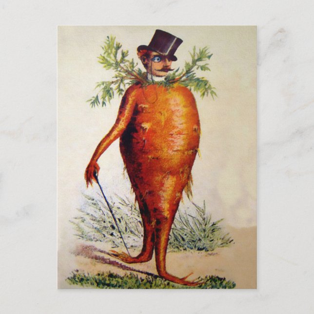 Carte Postale Homme de carottes victorien (Devant)