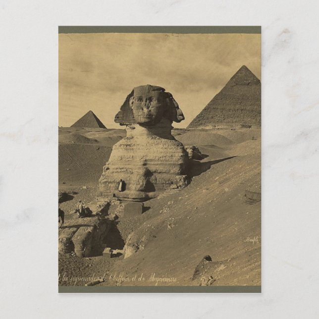 Carte Postale Hommes et chameaux sur la patte du Sphinx, Pyramid (Devant)