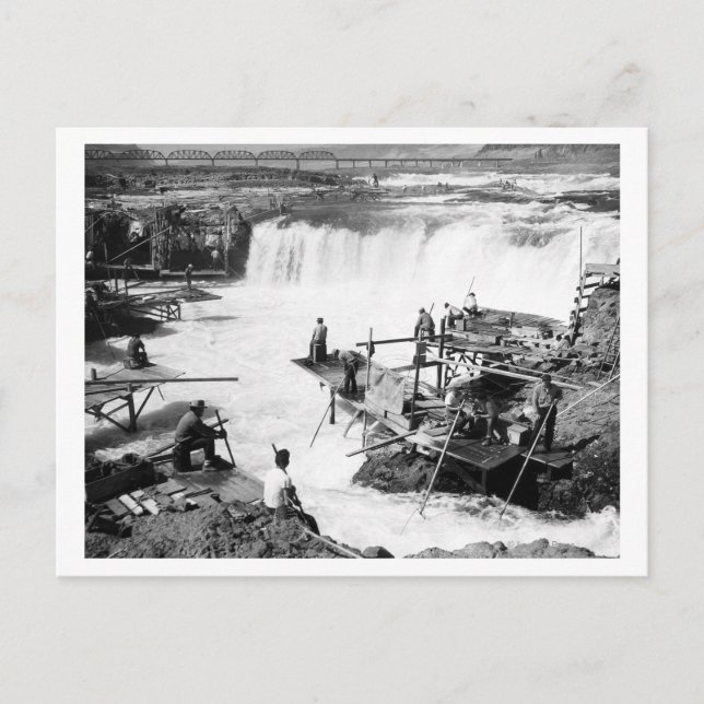 Carte Postale Hommes pêchant à Celilo Falls Photographie (Devant)