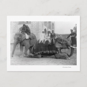 Carte Postale Hommes tenant des éléphants en Inde PhotoInde
