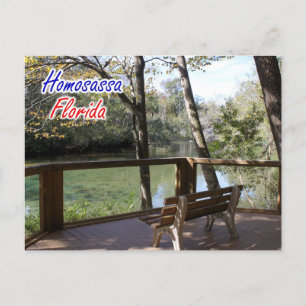 Carte postale Homosassa Florida