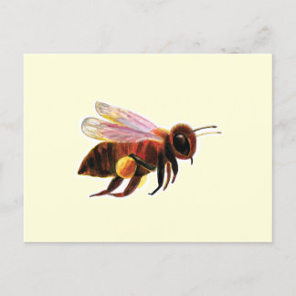 Carte Postale Honey Bee Flying
