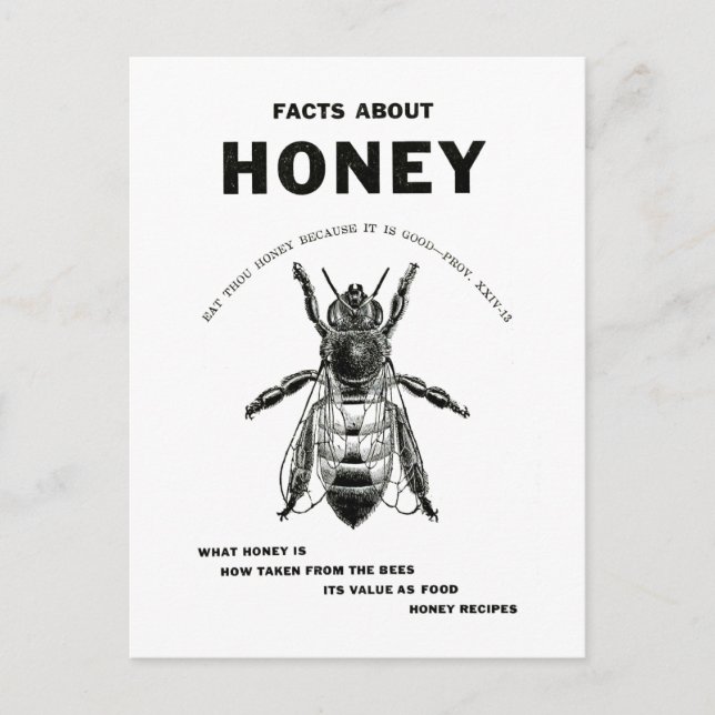 Carte Postale Honey Bee Publicité Vintage (Devant)