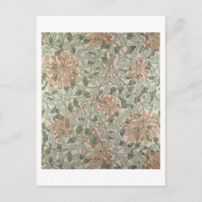 Carte Postale Honeysuckle II (Devant)