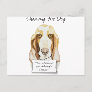 Carte Postale Honte au chien Basset Hound