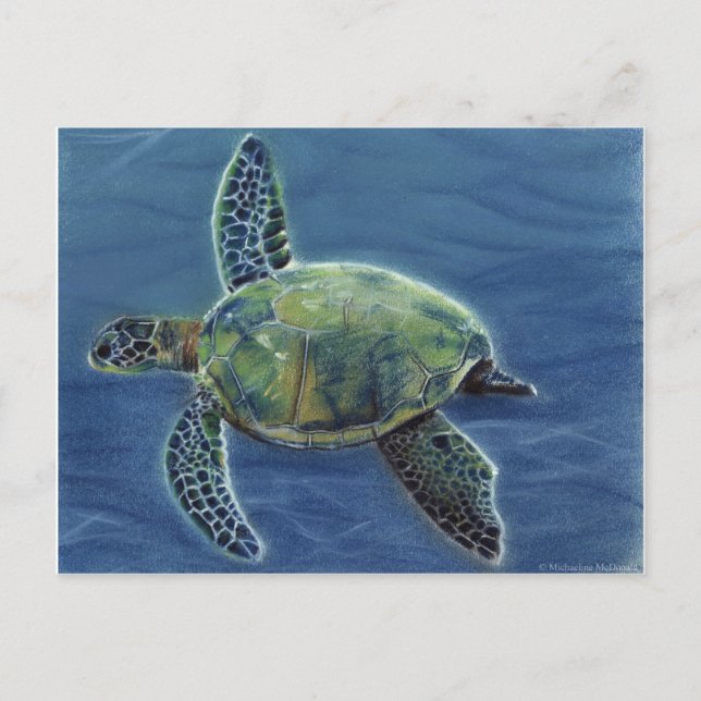 Carte postale Honu (Devant)