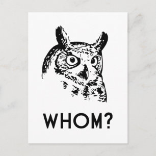 Carte Postale Hoo Qui Est Le Chouette De La Grammaire