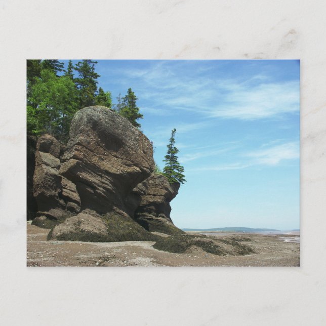 Carte Postale Hopewell Rocks (Devant)