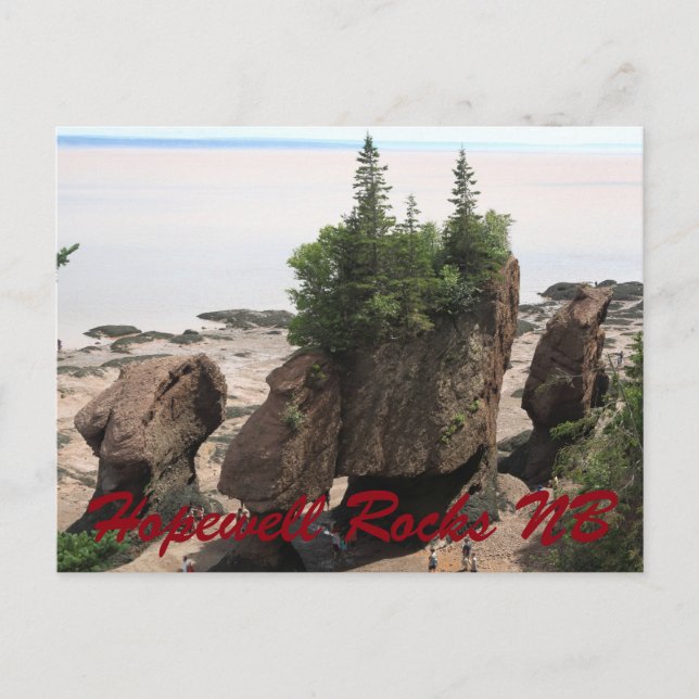 Carte Postale Hopewell rocks during low tide (Devant)