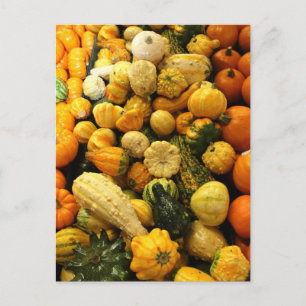 Carte Postale Horaires d'automne