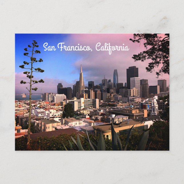 Carte postale Horizon de San Francisco #12 (Devant)