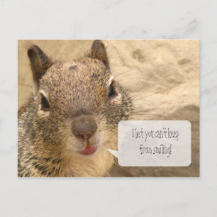 Carte postale horizontale - Squirell souriant