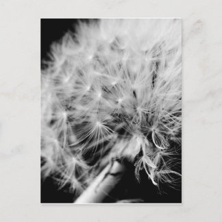 Carte Postale Horloge Dandelion
