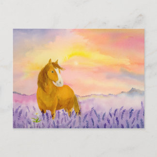 Carte Postale Horse in Lavender Field During Sunset