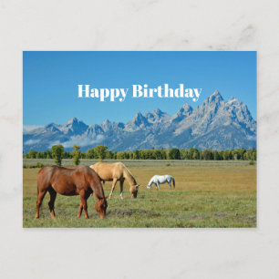 Carte Postale Horses Teton Mountains Landscape Photo