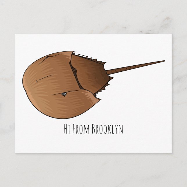 Carte Postale Horseshoe crab (Devant)