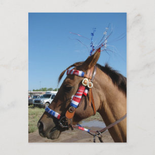 Carte Postale Horsey 4e