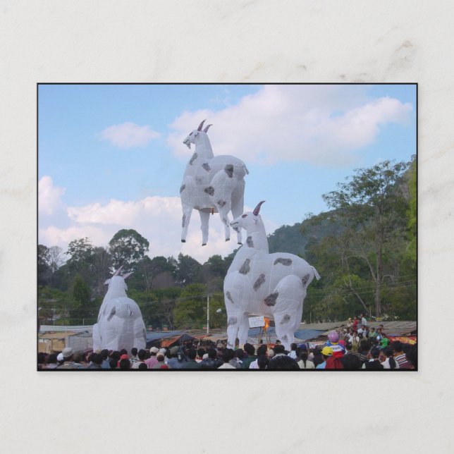 Carte Postale Hot Balloon Festival 1 (Devant)