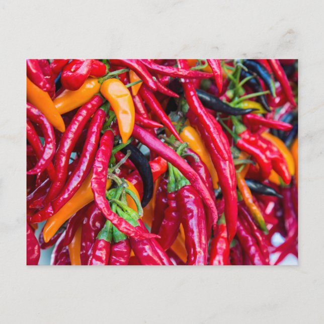 Carte Postale Hot Chili Peppers At Farmers Market in Madison (Devant)