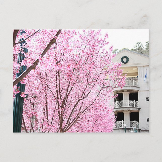 Carte postale Hot Springs (Devant)