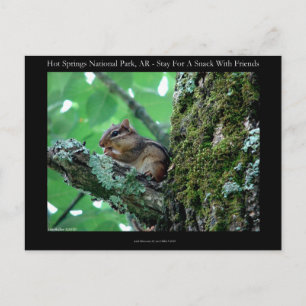 Carte Postale Hot Springs National Park, AR Chipmunk Snack Gifts