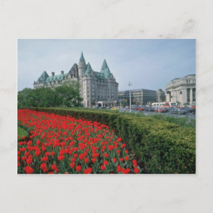 Carte Postale Hôtel Château Laurier, fleurs d'Ottawa