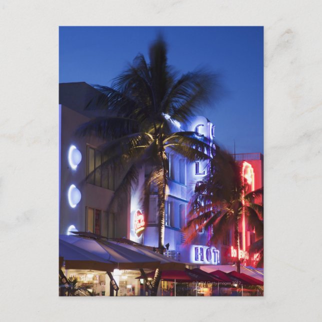 Carte Postale Hôtel Neon la nuit, Ocean Drive, South Miami Beach (Devant)