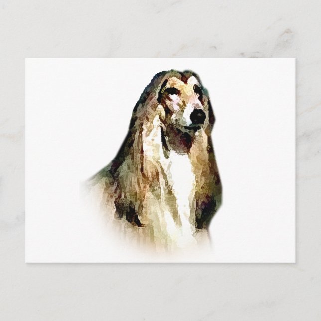 Carte Postale Hound afghan (Devant)